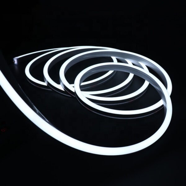 LED Neon Light Side View Size 1220